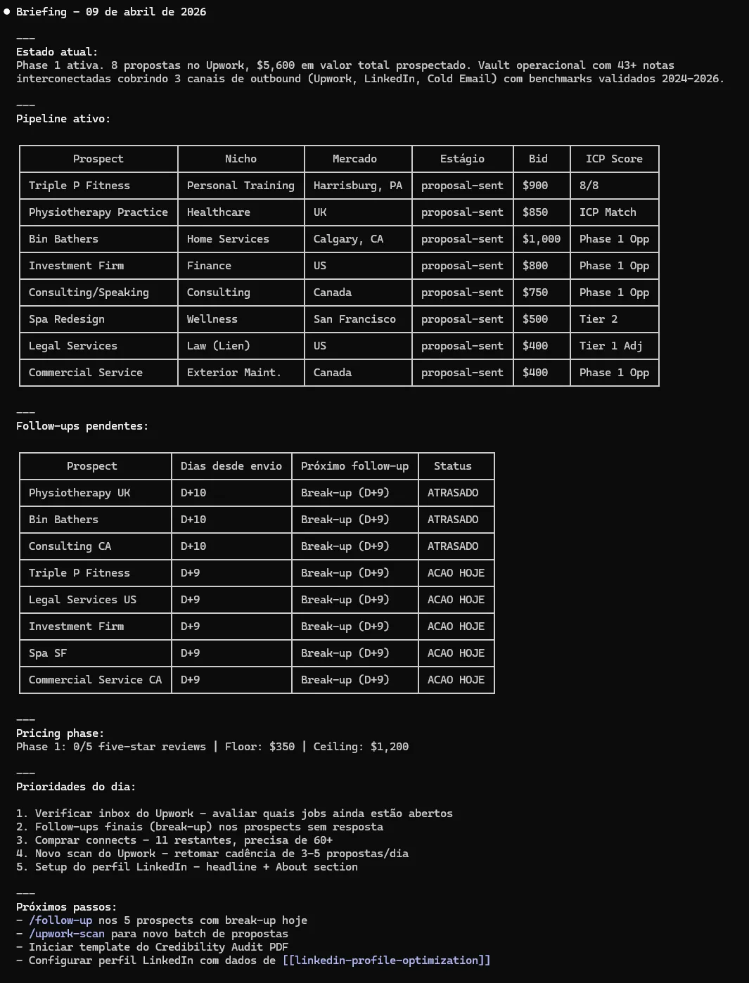 Output do /daily-briefing no terminal